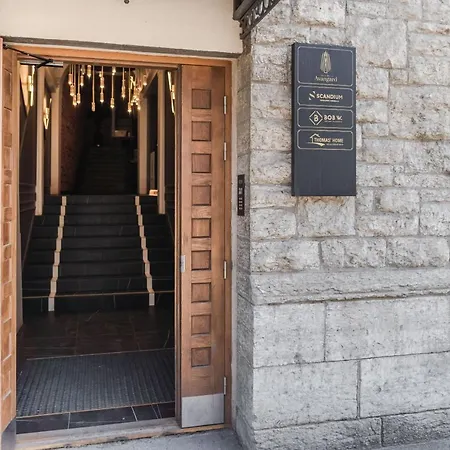 Dreamstay Avangard - Shared Roof Terrace, High Speed Wifi 200 Mbps & Gym 塔林